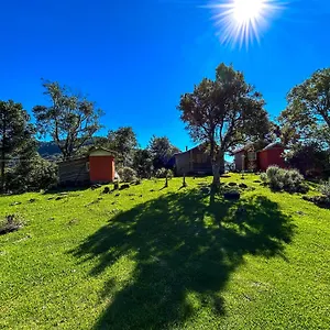  Chalé Refúgio Araucárias